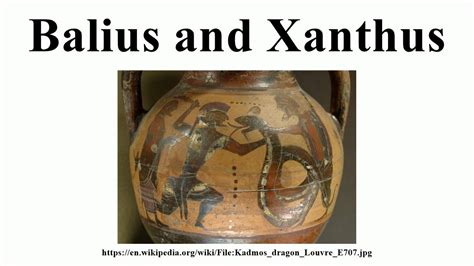  Xanthusius! Ontdek de schatten van deze ongebruikelijke slang